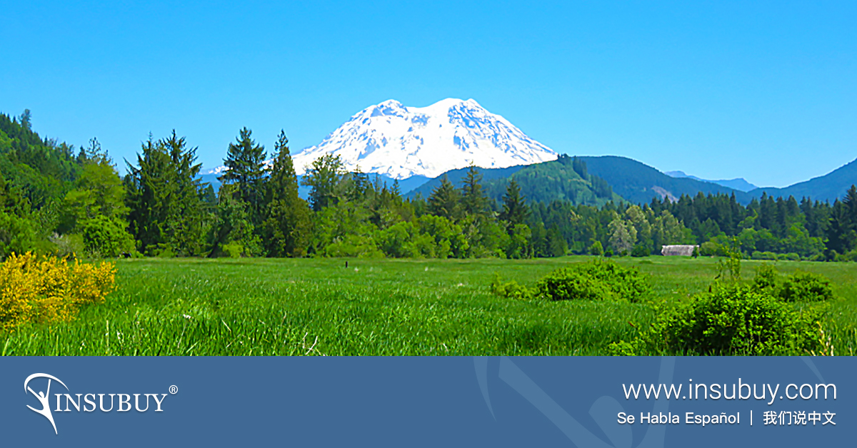 Visit Mount Rainier National Park